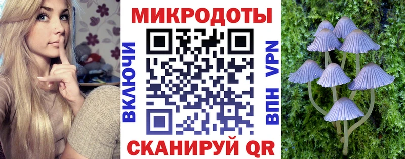 Псилоцибиновые грибы Psilocybe  Нея 